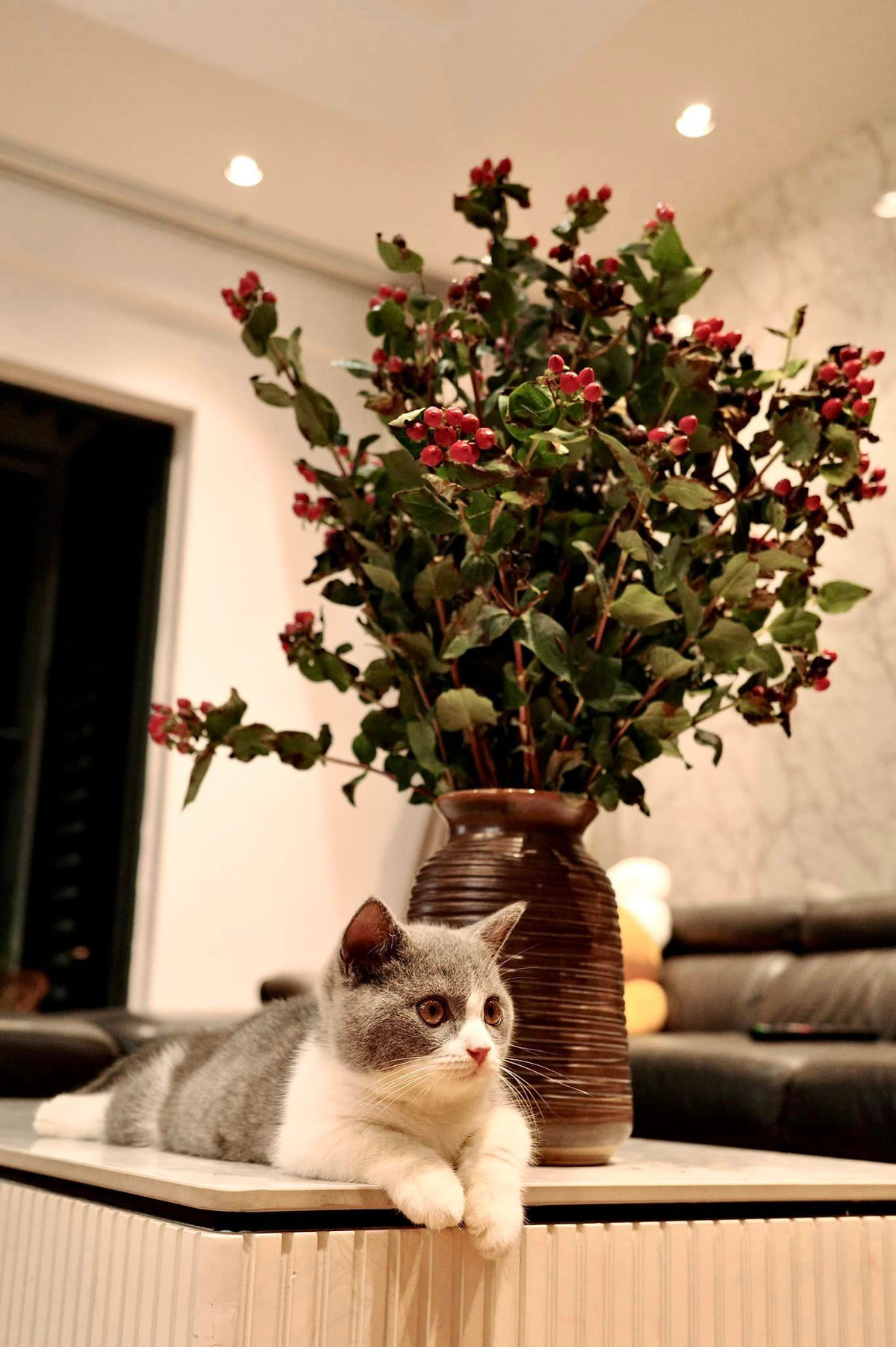 Trên trang cá nhân, nam diễn viên cũng chia sẻ một vài không gian trong căn hộ. Ảnh: FBNV