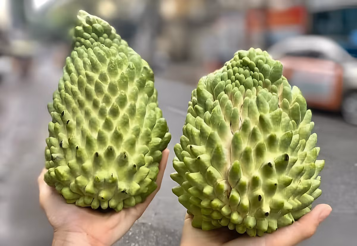 Nhưng năm nay, na sầu riêng được rao bán trên thị trường với giá rất rẻ, chỉ từ 60.000-65.000 đồng/kg loại 400-700g/quả. Ảnh: Vietnamnet