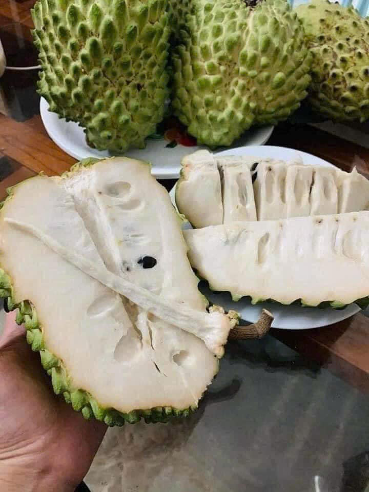 Theo người bán, nguồn cung dồi dào là một trong những nguyên nhân khiến na sầu riêng giảm giá mạnh so với những năm trước. Ảnh: Facebook