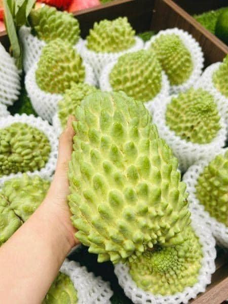 Cách đây 2 năm, na sầu riêng là loại trái cây đắt đỏ có mức giá lên tới 500.000 đồng/kg. Nhiều khách hàng phải chi tới cả triệu đồng để mua một quả na sầu riêng nặng 2kg. Ảnh: Facebook