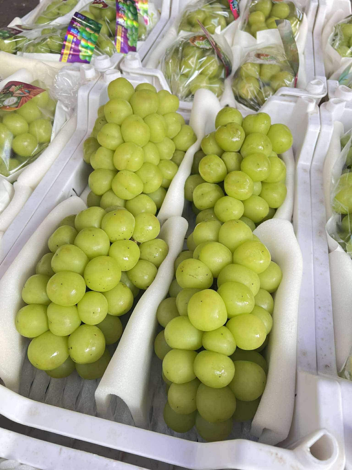 Nếu mua trái cây nhập khẩu, nên chọn sản phẩm có tem mác đầy đủ và mã vạch rõ ràng để tránh hàng kém chất lượng. Ảnh: Facebook