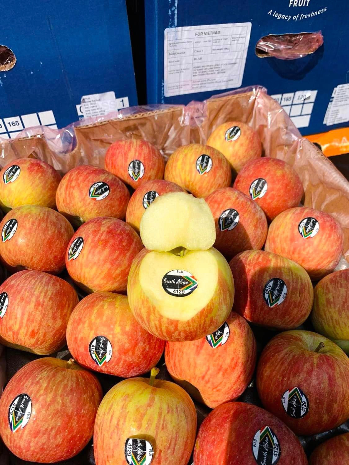  Táo Nam Phi cũng được nhiều chị em đặt mua khi chỉ có giá 150.000 - 180.000/túi 3kg, tùy nơi. Ảnh: Facebook