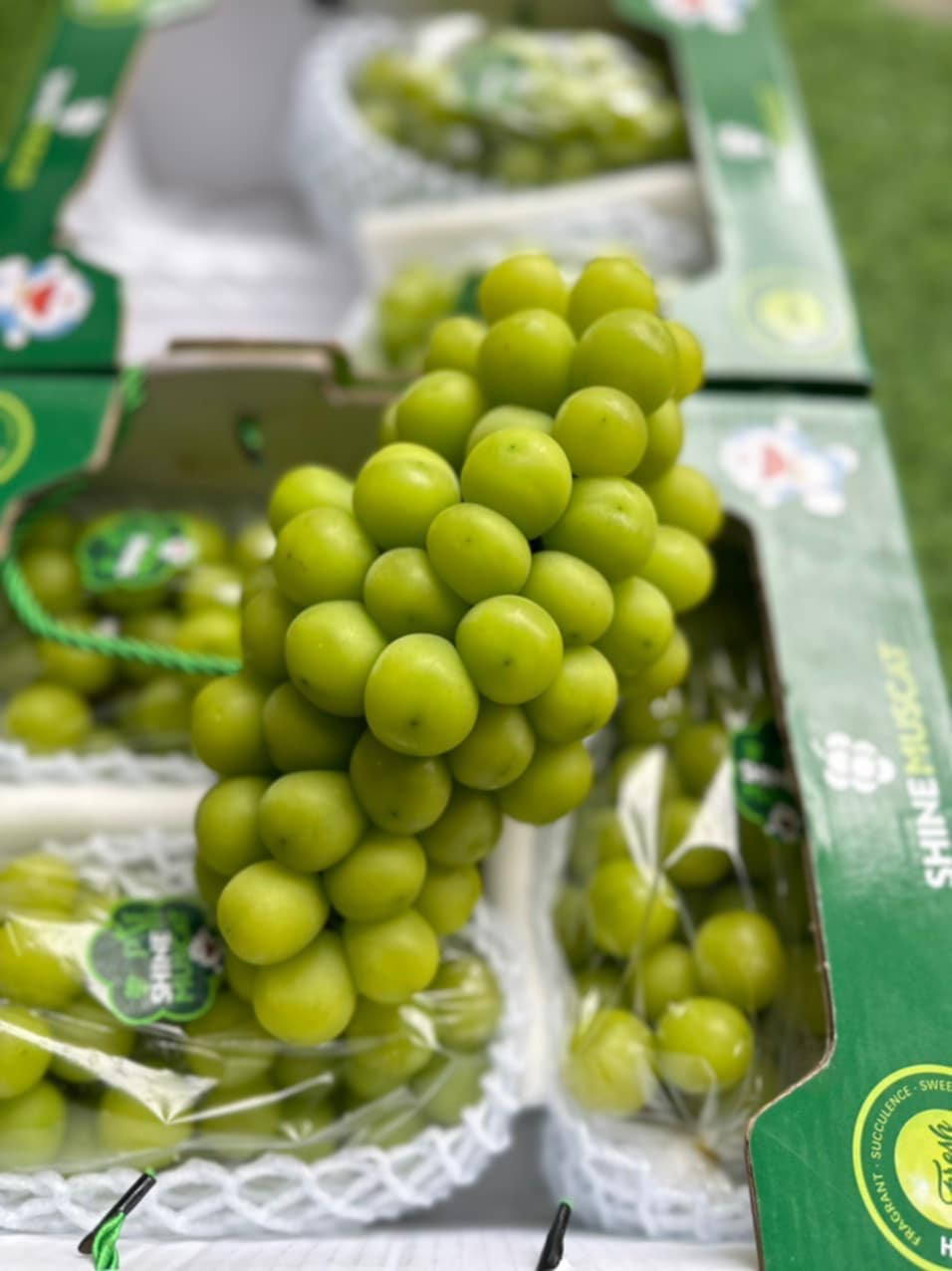 Trong khi tại Hàn Quốc, giá nho sữa từ 300.000 - 500.000 đồng/chùm thì ở Việt Nam, một số cửa hàng lại bán giá dưới 100.000 đồng/kg, thậm chí có nơi bán giá 60-80.000 đồng/kg. Ảnh: Facebook