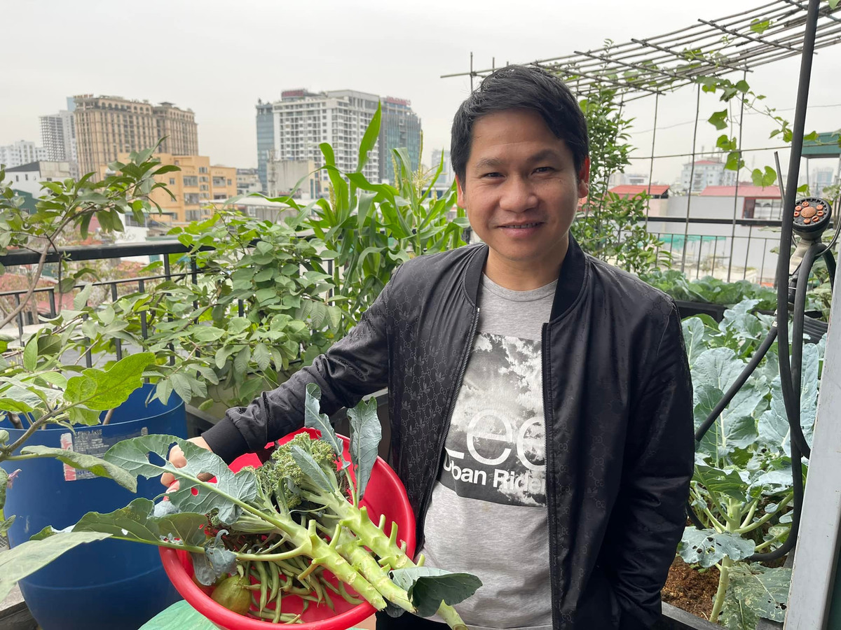 Trọng Tấn trồng rau theo mùa, cung cấp thực phẩm sạch cho gia đình. Ảnh: FB Trọng Tấn