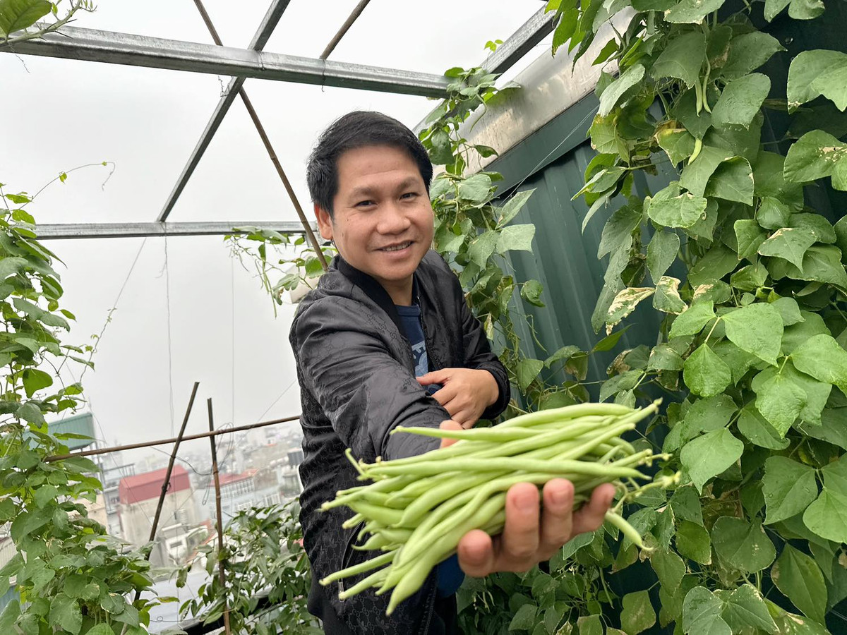 Mới đây, "ông hoàng nhạc đỏ" chia sẻ thành quả thu hoạch được trên sân thượng. Ảnh: FB Trọng Tấn