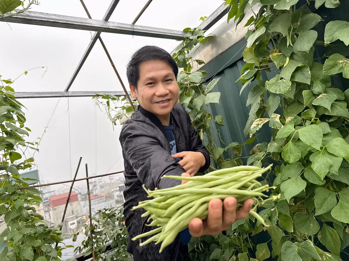 Mới đây, "ông hoàng nhạc đỏ" chia sẻ thành quả thu hoạch được trên sân thượng. Ảnh: FB Trọng Tấn