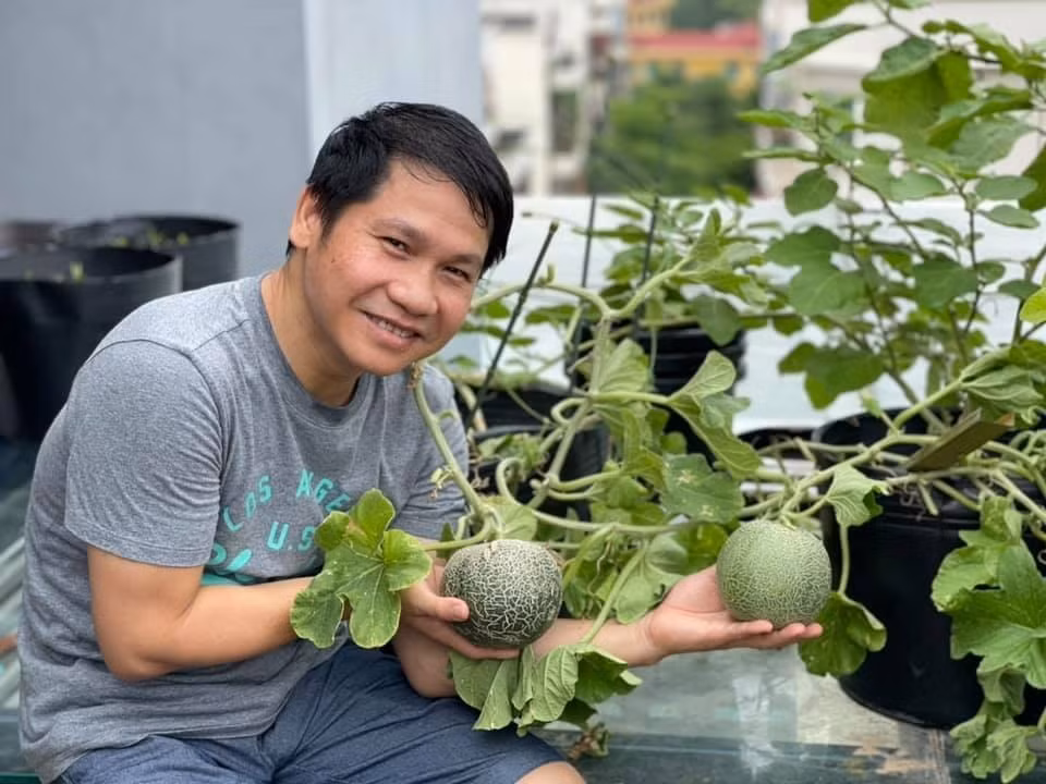 Những lúc rảnh rỗi, Trọng Tấn tìm niềm vui bằng cách trồng rau, cây cảnh ở khu vườn trên sân thượng của gia đình. Ảnh: FB Trọng Tấn
