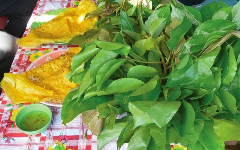 Lá cây đọt mọt có thể được sử dụng để làm rau sống ăn kèm trong các bữa ăn như lẩu mắm, bánh xèo hoặc cá kho. Lá có vị chua chua, chát chát, làm tăng hương vị cho món ăn. Ảnh: Bachhoaxanh