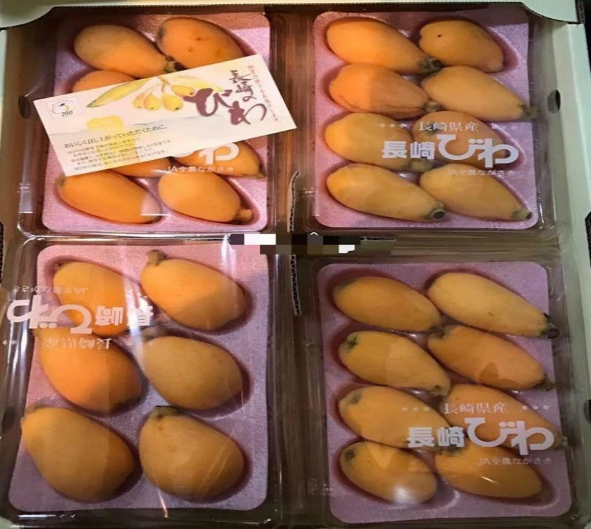 Trong các siêu thị tại Nhật BẢn, quả biwa được bán nhiều nhưng mức giá cũng khá rẻ, chỉ 100.000 đồng/kg. Ảnh: Plo