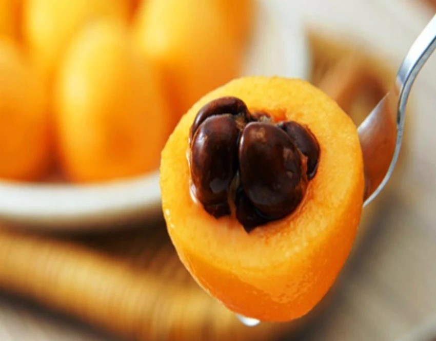 Khi chín, lớp vỏ bóc khá dễ dàng. Khác với trái thanh trà Việt Nam có một hạt lớn, biwa Nhật gồm 3 hạt nhỏ màu đen và vị ngọt mát hơn. Ảnh: Plo