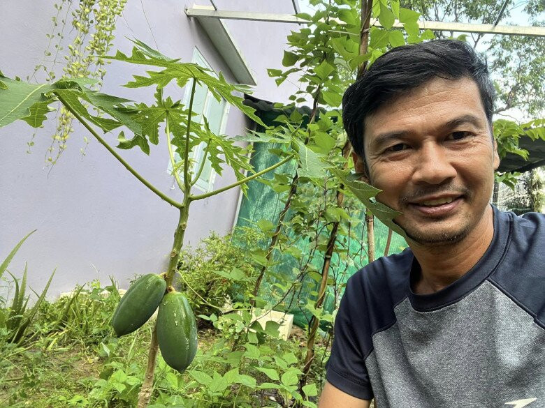 Đu đủ còn nhỏ nhưng đã cho quả to. Ảnh: FBNV