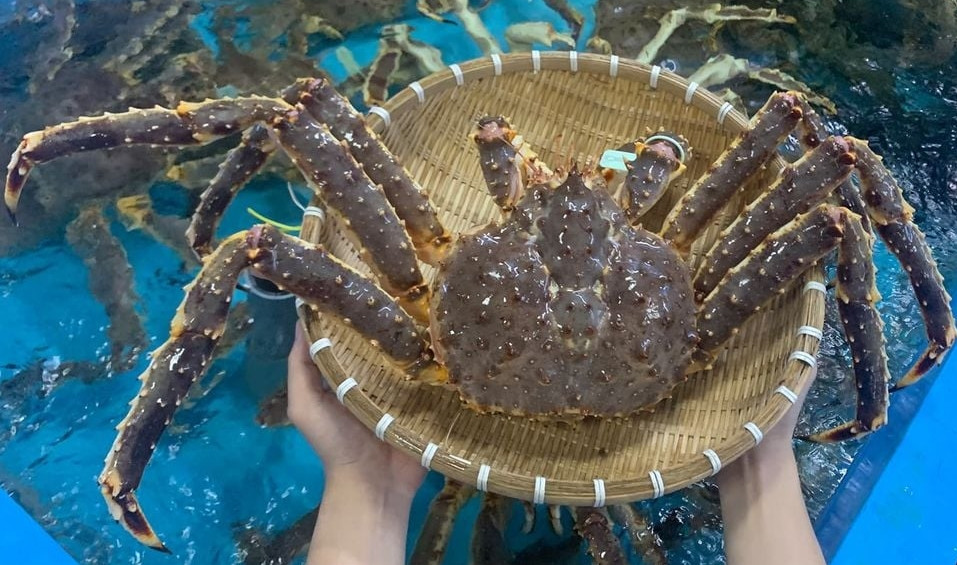 Cách đây vài năm, người tiêu dùng Việt xôn xao trước cua hoàng đế Alaska - loại cua khủng cả về trọng lượng và chiều dài. Ảnh: Daihaisan