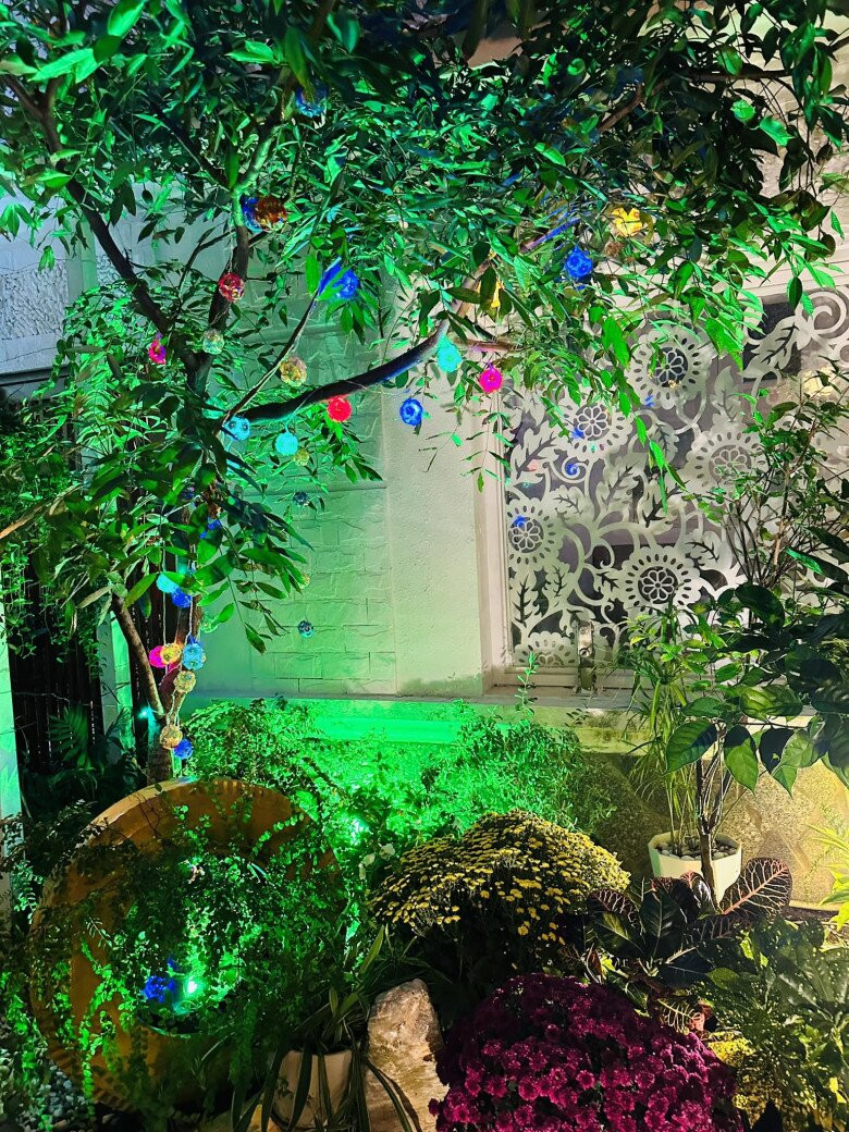 Khu vườn trở nên huyền ảo với những chậu hoa và đèn trang trí đủ sắc màu. Ảnh: FBNV