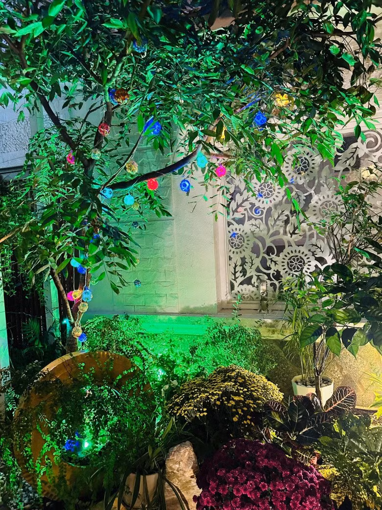 Khu vườn trở nên huyền ảo với những chậu hoa và đèn trang trí đủ sắc màu. Ảnh: FBNV