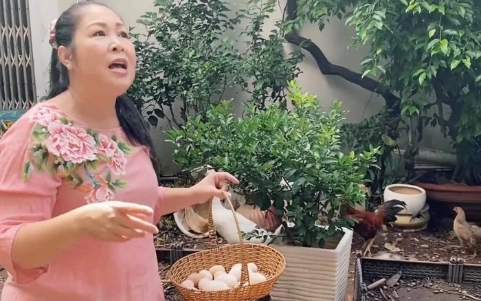 Nữ nghệ sĩ cảm thấy phấn khích khi thu hoạch trứng gà và trứng ngỗng trong vườn. Ảnh chụp màn hình