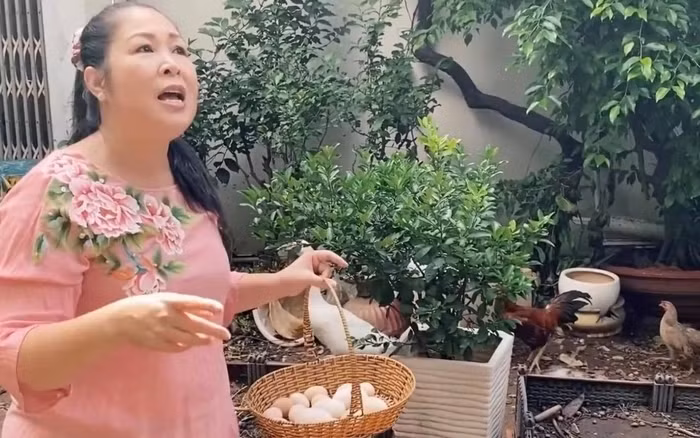 Nữ nghệ sĩ cảm thấy phấn khích khi thu hoạch trứng gà và trứng ngỗng trong vườn. Ảnh chụp màn hình