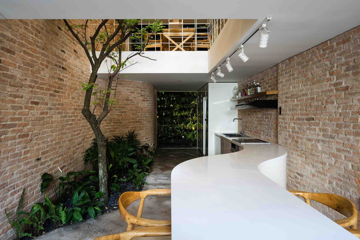 Điều này cho phép ánh sáng từ trên cao chiếu xuống tầng trệt. Ở đây có một quầy bếp dài và một chiếc bàn lượn sóng bao quanh một khu vườn nhỏ. Ảnh: Quang Đàm