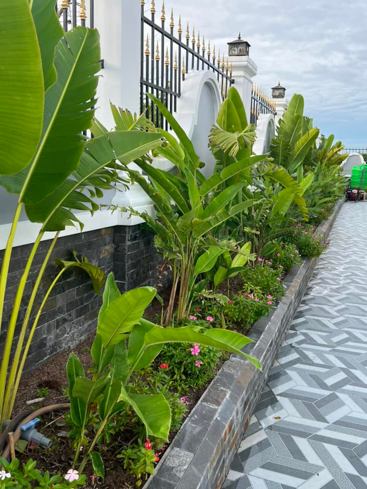 Trong khuôn viên biệt thự trồng rất nhiều cây xanh. Ảnh: FBNV