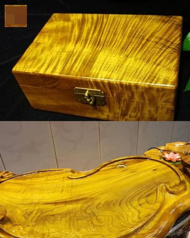 Các đường nét bên trong đan xen vào nhau, như những sợi tơ dệt từ vàng. Đặc điểm kỳ diệu này khiến nanmu vàng trở nên độc nhất trên thị trường gỗ và trở thành một tác phẩm nghệ thuật quý hiếm. Ảnh: Chinanews
