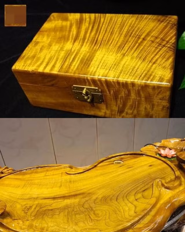 Các đường nét bên trong đan xen vào nhau, như những sợi tơ dệt từ vàng. Đặc điểm kỳ diệu này khiến nanmu vàng trở nên độc nhất trên thị trường gỗ và trở thành một tác phẩm nghệ thuật quý hiếm. Ảnh: Chinanews