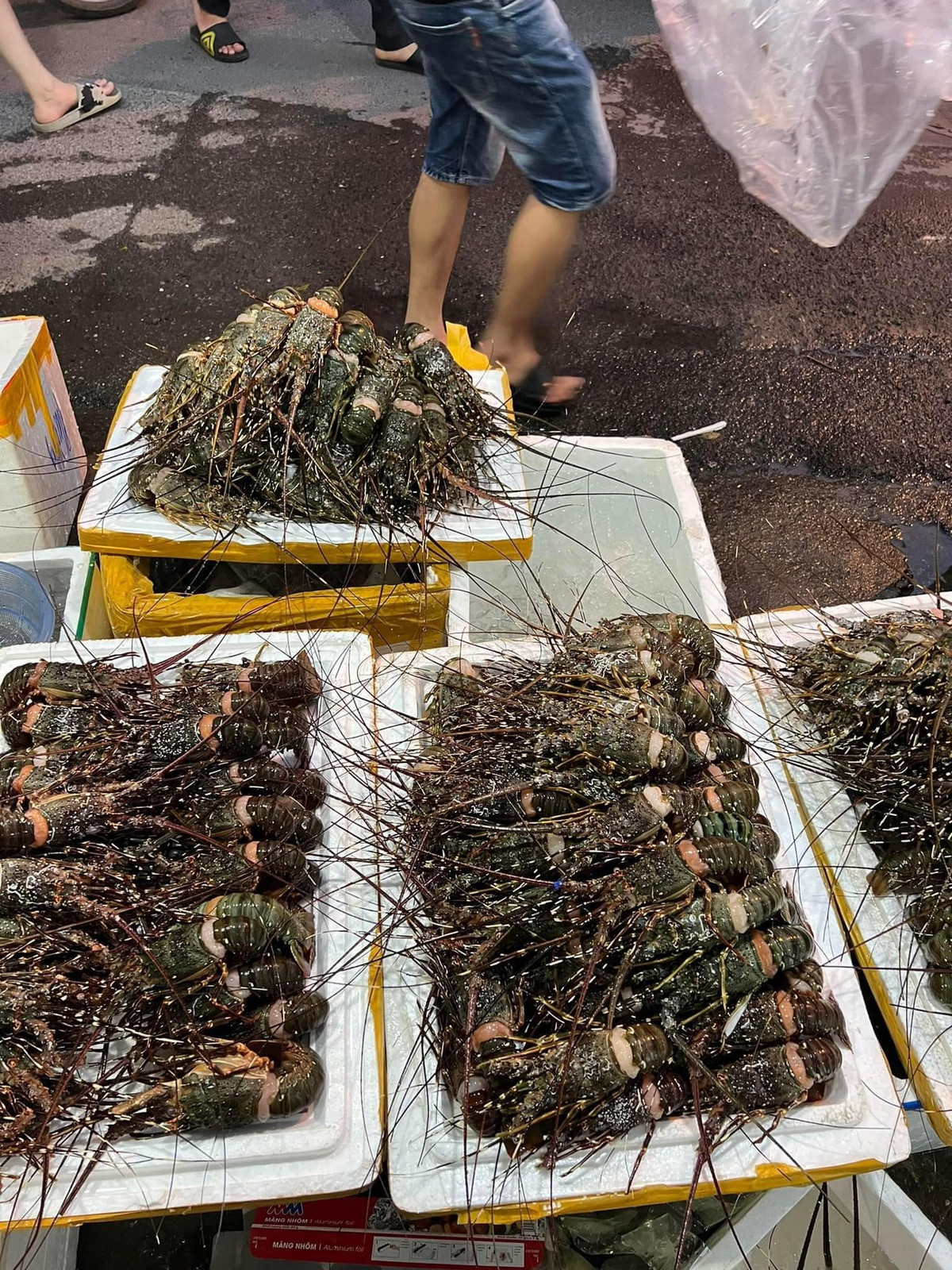 Chia sẻ trên Vietnamnet, chị Bùi Thị Thu - đầu mối bán thuỷ hải sản trên chợ online cho biết, số lượng tôm hùm giá rẻ về không nhiều, có những ngày về tới 500-600 con, có ngày chỉ về được trên dưới 200 con. Ảnh: Facebook