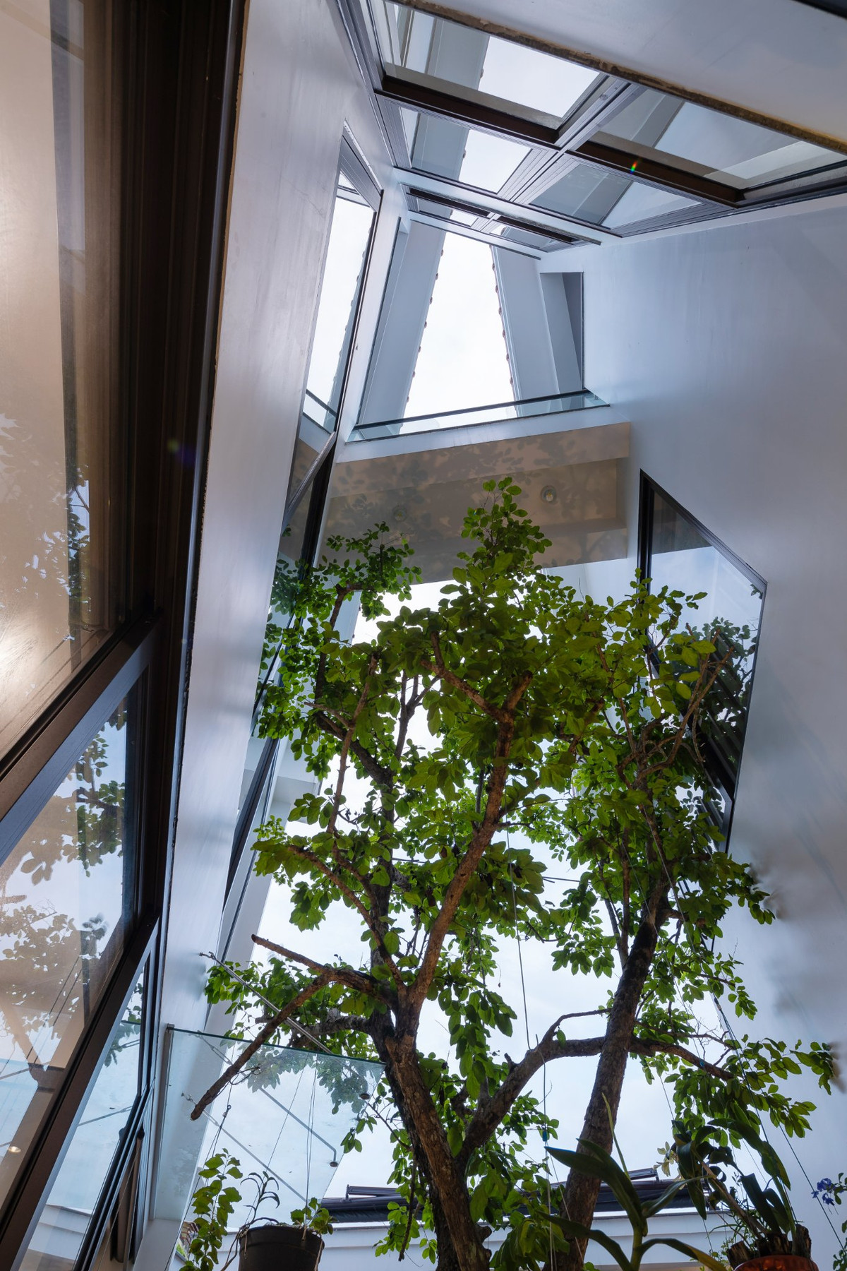 Một lõi xanh được bố trí tại trung tâm nhà phố vừa làm khoảng đệm chuyển tiếp với khu vực kinh doanh ồn ào, vừa là sân trong hướng nội của gia đình. Ảnh: Triệu Chiến