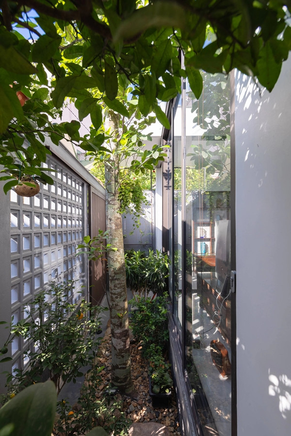 Hông nhà với những mảng xanh cung cấp gió trời và cảnh quan xanh mát. Ảnh: Triệu Chiến