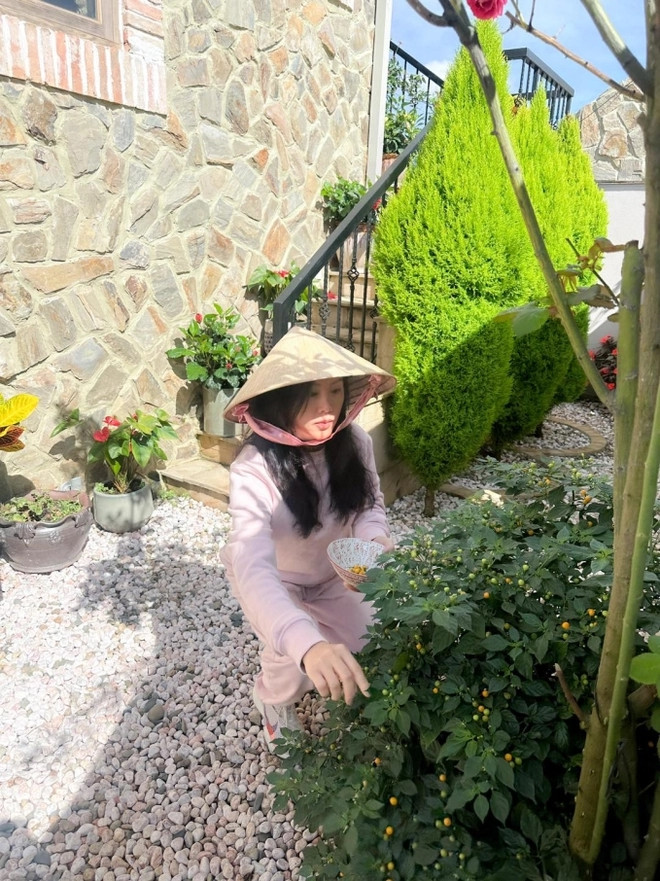 Nàng hậu còn trồng thêm nhiều hoa, cây cảnh và một số loại cây ăn trái, rau gia vị như chanh, ớt... làm đẹp cho không gian sống. Ảnh: FB Hoa hậu Thu Hoài