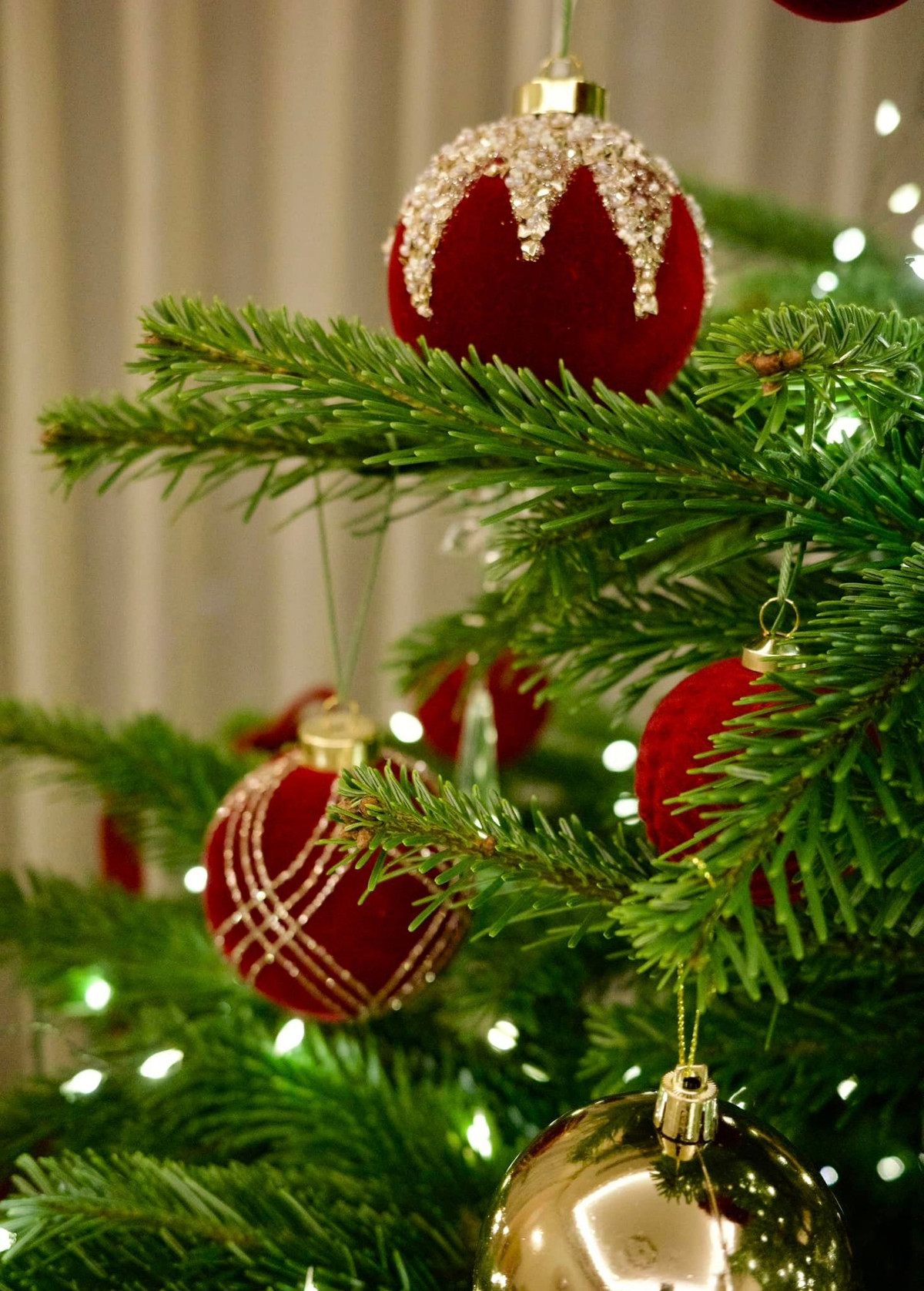 Cành thông tươi vừa cứng cáp lại vừa thơm. Ảnh: FB Nguyen Diep Chi