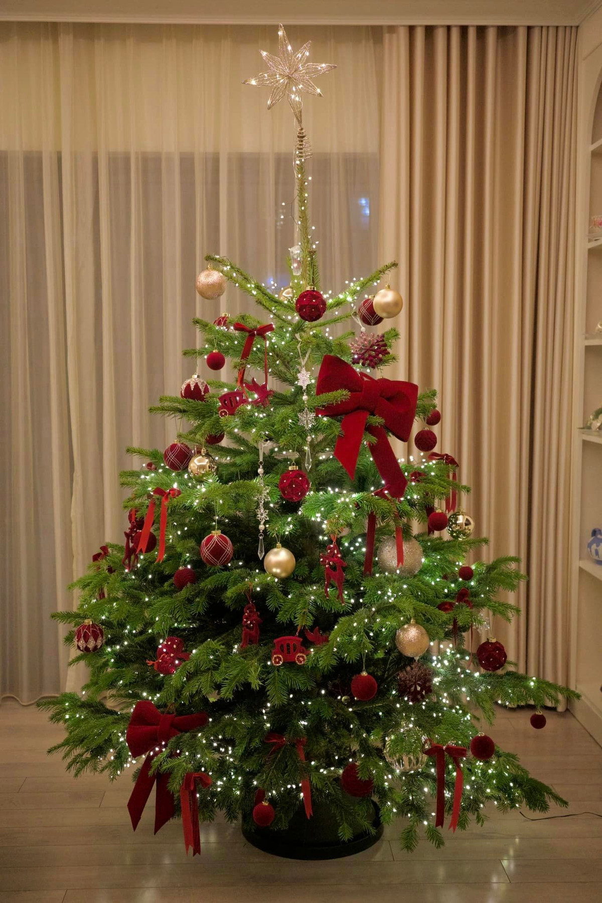 Mới đây, MC Diệp Chi chia sẻ góc Giáng sinh lung linh trong nhà khiến nhiều khán giả xuýt xoa. Ảnh: FB Nguyen Diep Chi