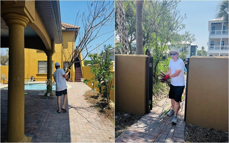 Trong khuôn viên biệt thự có nhiều cây cối, đậm chất vùng biển. Ảnh: FBNV