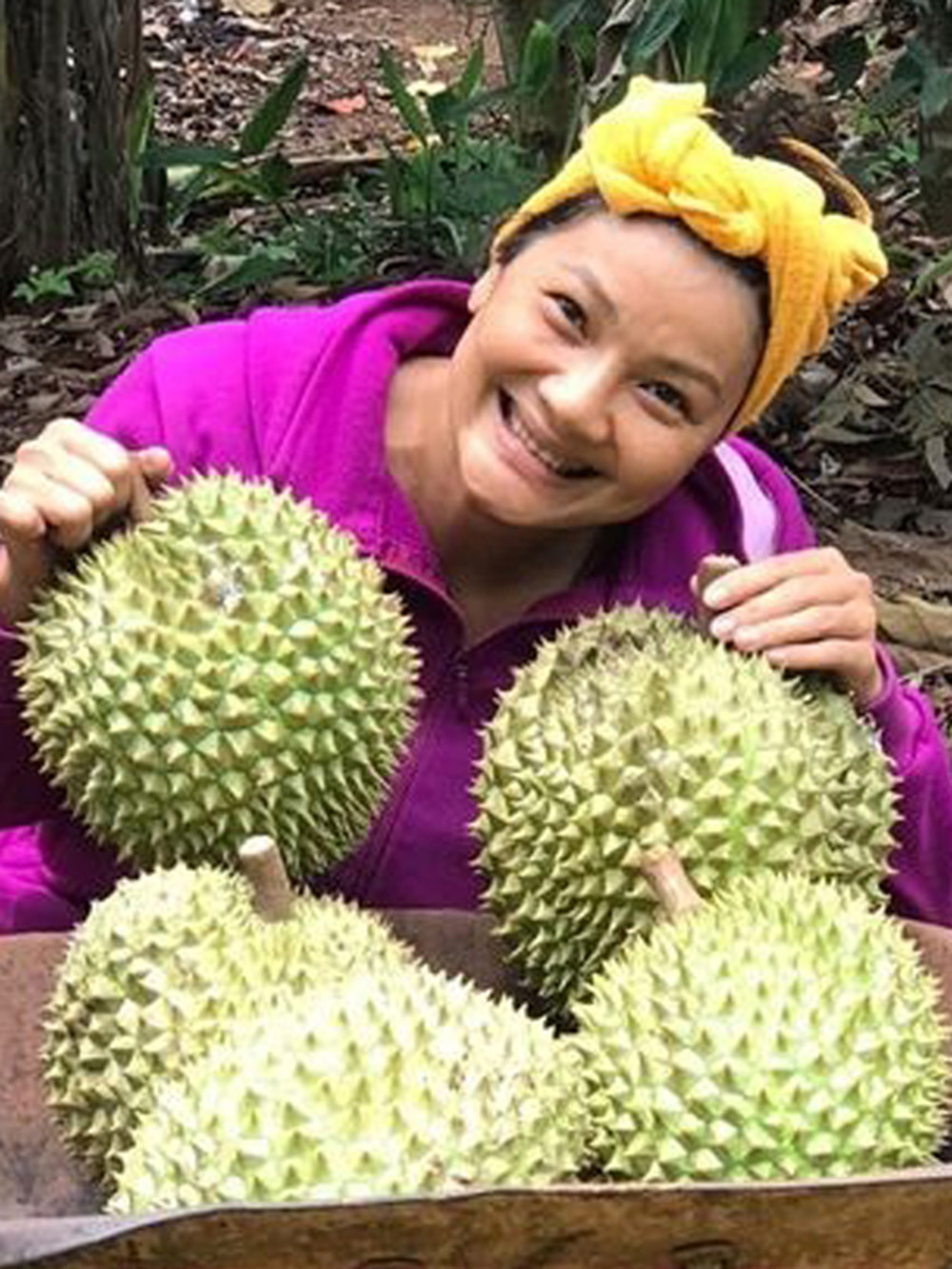 Trước đây, mẹ Kiều Trinh trồng đến hai mươi cây sầu riêng nhưng chết hết. Sau này, nữ diễn viên trồng lại mười mấy cây và chỉ mới có trái trong năm đầu tiên. Ảnh: FB Nguyễn Kiều Trinh