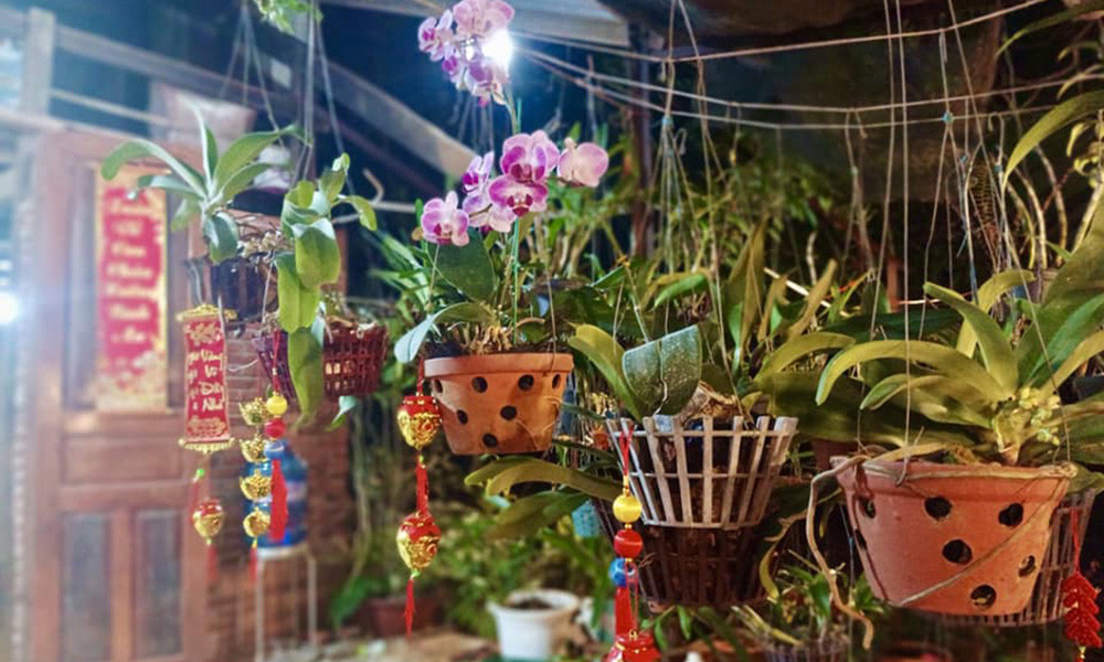 Mỗi sáng, nữ diễn viên dậy sớm ra vườn chăm sóc cây trái, hái rau, quả. Ảnh: FB Nguyễn Kiều Trinh