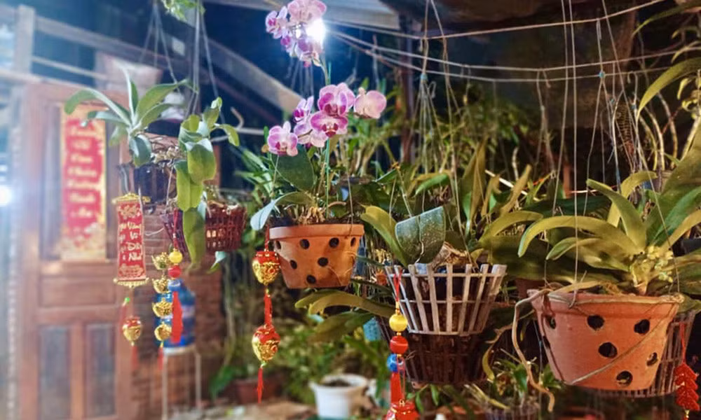 Mỗi sáng, nữ diễn viên dậy sớm ra vườn chăm sóc cây trái, hái rau, quả. Ảnh: FB Nguyễn Kiều Trinh