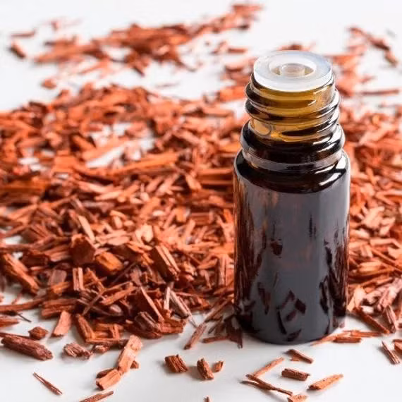 Theo đó, 1 lít dầu gỗ đàn hương có giá 187,5 triệu VNĐ. Ảnh: Getty