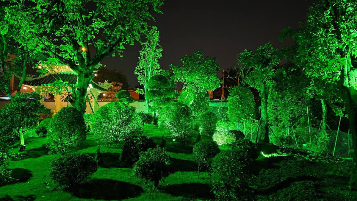 Khu vườn lung linh huyền ảo vào buồi tối. Ảnh: FB Trần Việt Trinh