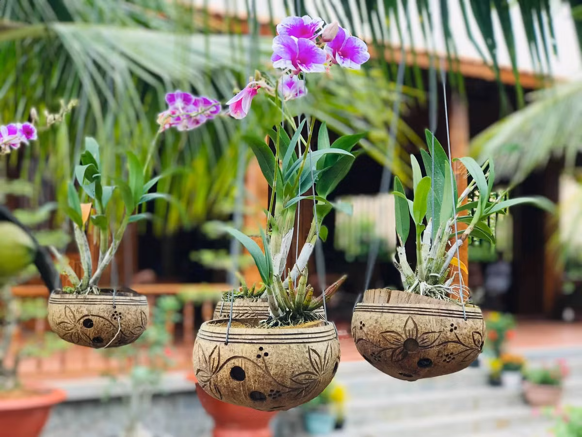 Chậu hoa lan trong vườn cũng được trang trí bằng vỏ dừa. Ảnh: Cocohome