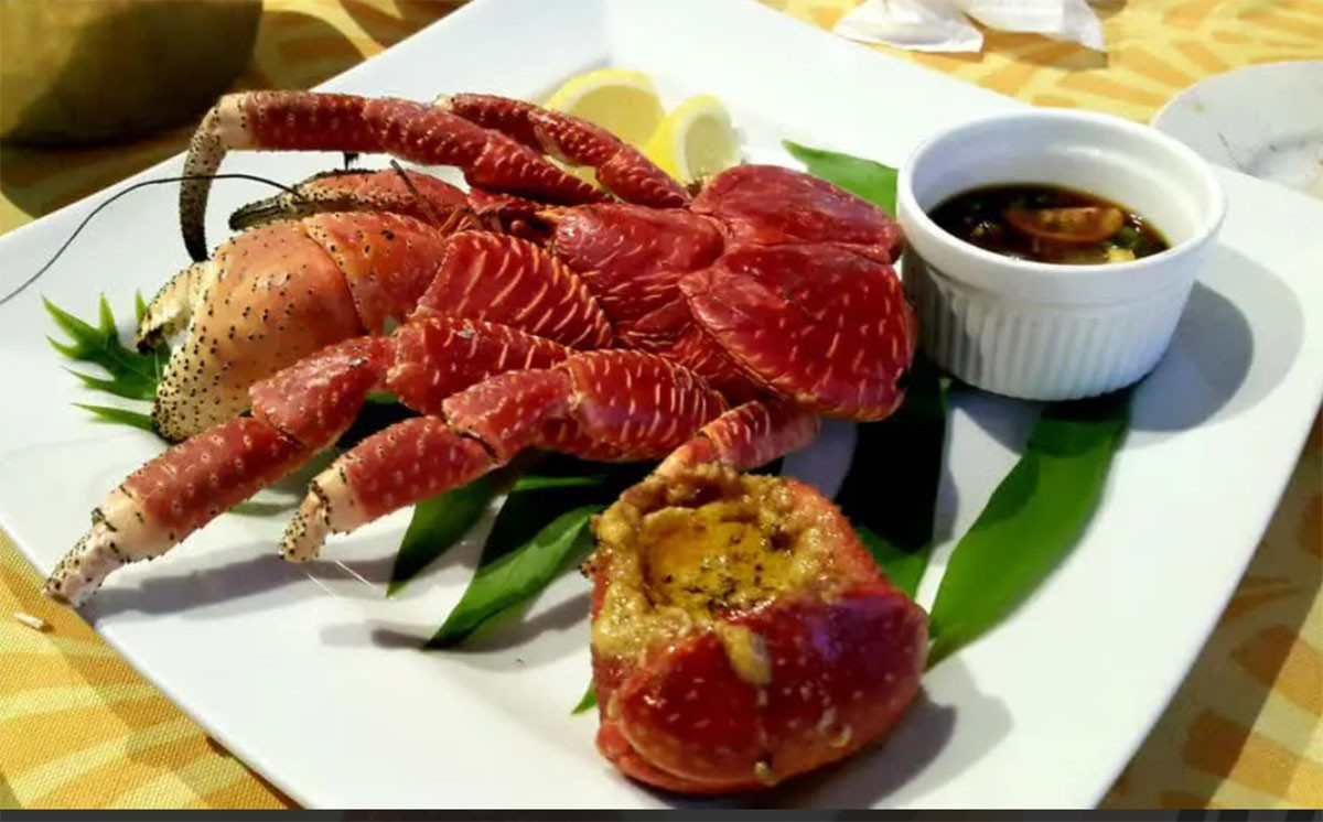 Tại một số ốc đảo, người dân thường khai thác, sử dụng cua dừa trong bữa ăn chính. Ảnh: Thể Thao và Văn Hoá