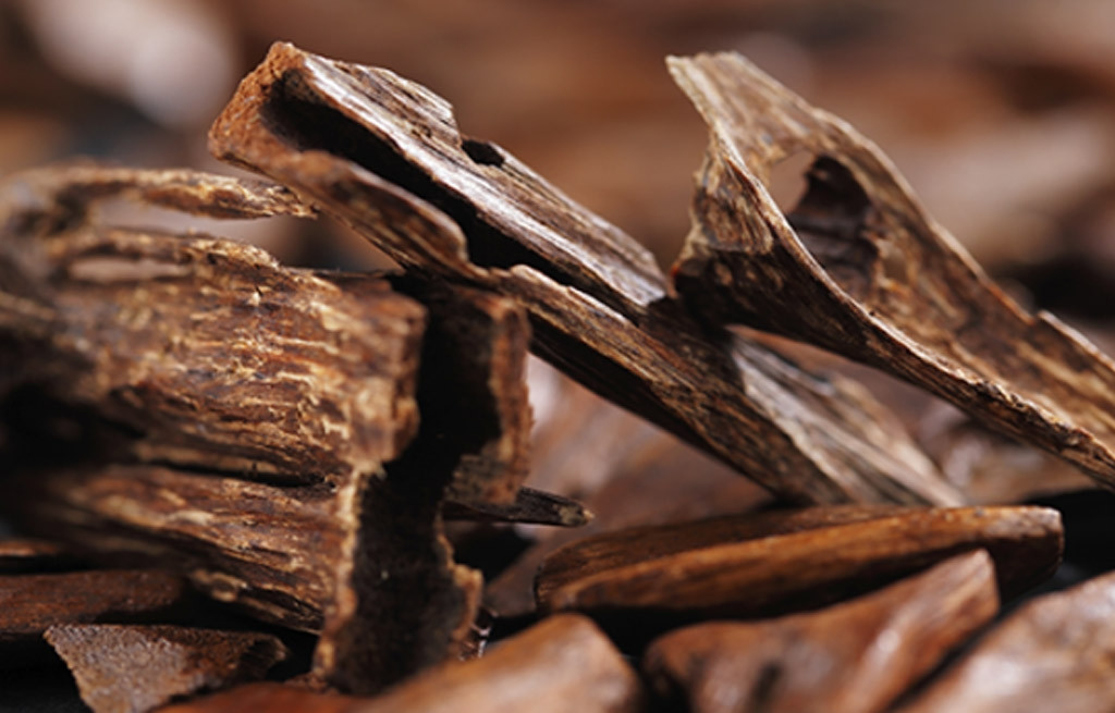 Giá gỗ trầm hương hiện rất đắt do mức độ phát triển trầm hương ngày càng ít. Theo Business Insider, giá của trầm hương loại một lên tới 100.000 USD/kg (khoảng 2,3 tỷ đồng). Tinh dầu trầm hương khoảng 9000 USD/ lít (khoảng 220 triệu đồng). Ảnh: Phapbaobinhan