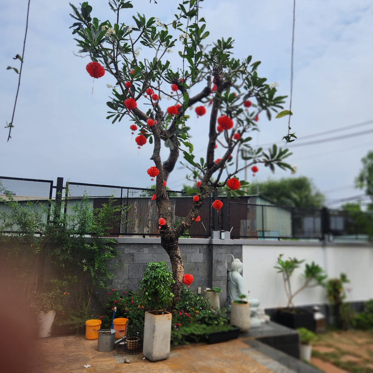 Mỗi dịp lễ, Quách Thành Danh đều trang trí nhà cửa theo chủ đề. Ảnh: FB Quach Thanh Danh