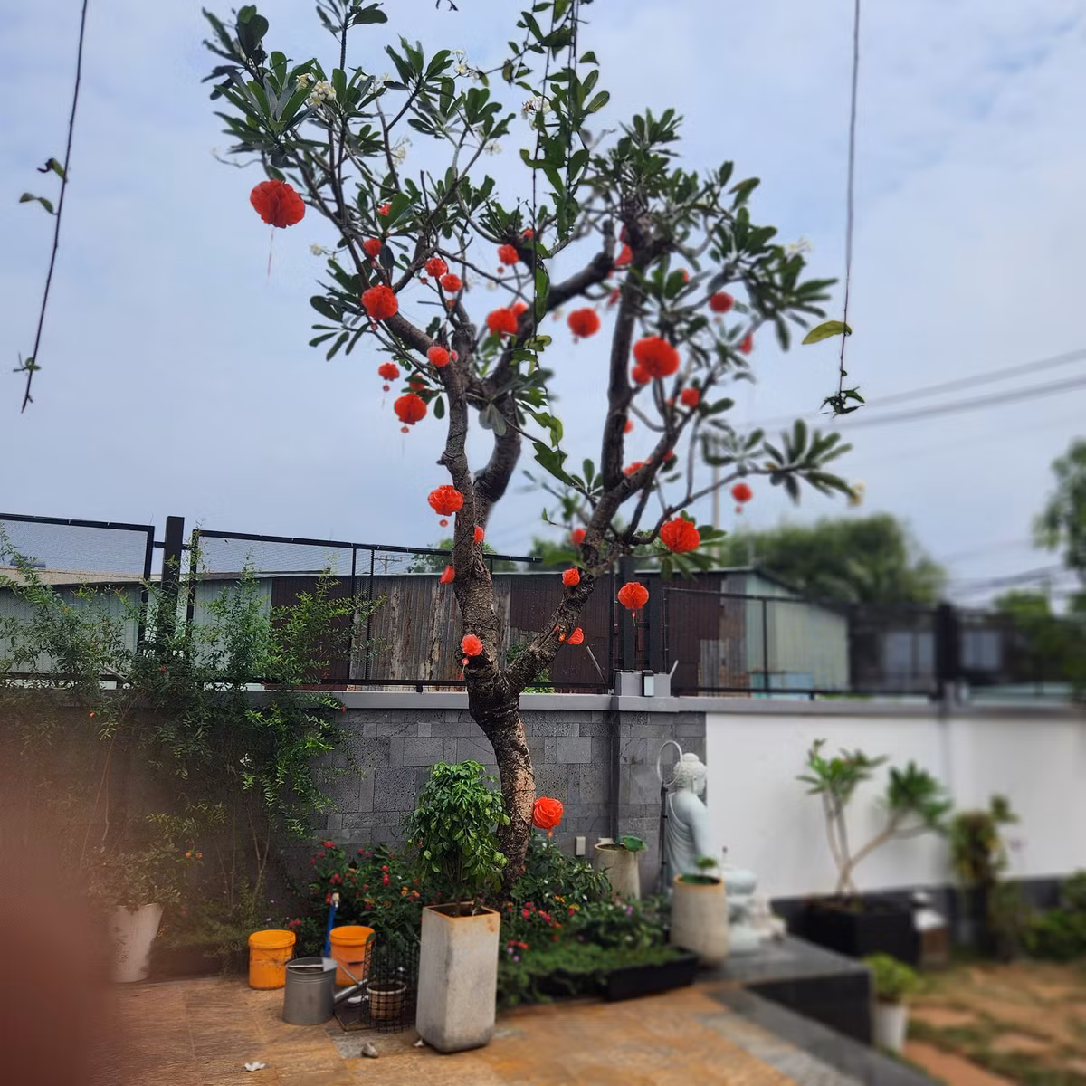 Mỗi dịp lễ, Quách Thành Danh đều trang trí nhà cửa theo chủ đề. Ảnh: FB Quach Thanh Danh