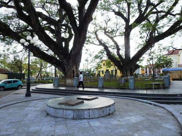 Nhờ bóng mát của cây lim, nơi đây trở thành chỗ vui chơi của trẻ nhỏ và là nơi người già tập thể dục mỗi chiều. Ảnh: Ngoisao