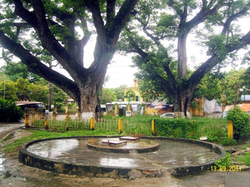 Bên dưới hai tán lim cổ thụ này có hai giếng cổ gọi là giếng Rừng, được xây lại bằng gạch đỏ từ thời Pháp. Ảnh: Báo Quảng Ninh