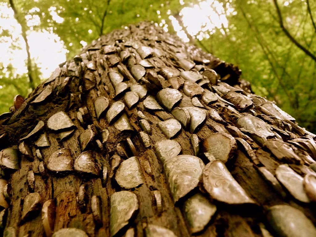 Niềm tin này ra đời từ những năm 1700. Ảnh: Flickr