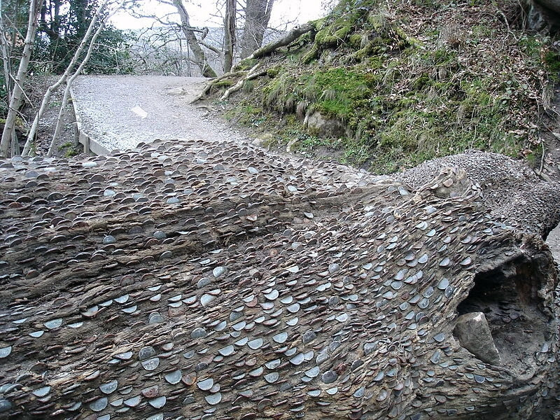 Bằng một cách nào đó, những cây "đẻ ra tiền" vẫn hấp dẫn rất nhiều người đến tham quan, tìm hiểu. Ảnh: Alamy