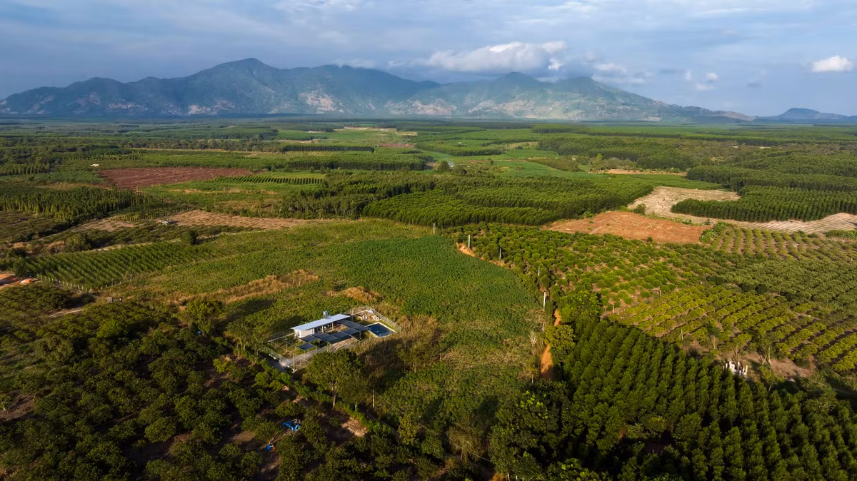 Căn nhà nằm trong khu vực nông thôn, xung quanh là các đồn điền nông nghiệp, nhưng lại được xem là "rìa ngoài của vùng ngoại ô" – nơi đang trên đà đô thị hóa. Ảnh: Hiroyuki Oki