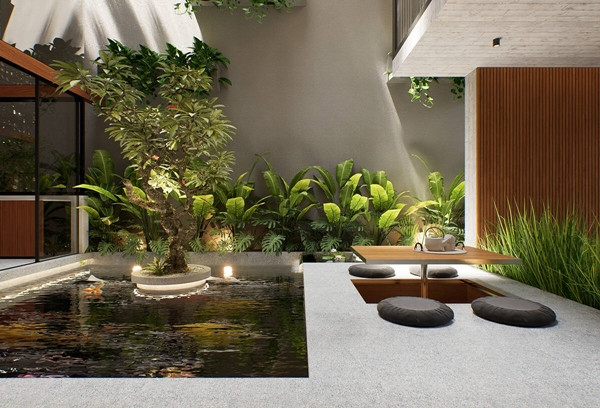 Hệ sinh thái trong nhà bao gồm cá Koi và cây thủy sinh, tạo thành một mối quan hệ cộng sinh, duy trì sự cân bằng sinh thái. Ảnh: Tran Trung Architects