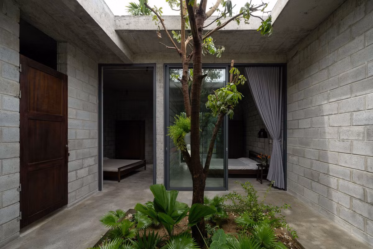 Kết quả là tạo ra sự hòa hợp giữa thiên nhiên và kiến trúc, nơi cây cối không chỉ là điểm nhấn căn nhà mà còn là cam kết của công trình đối với tính bền vững và bảo vệ môi trường. Ảnh: Quang Trần