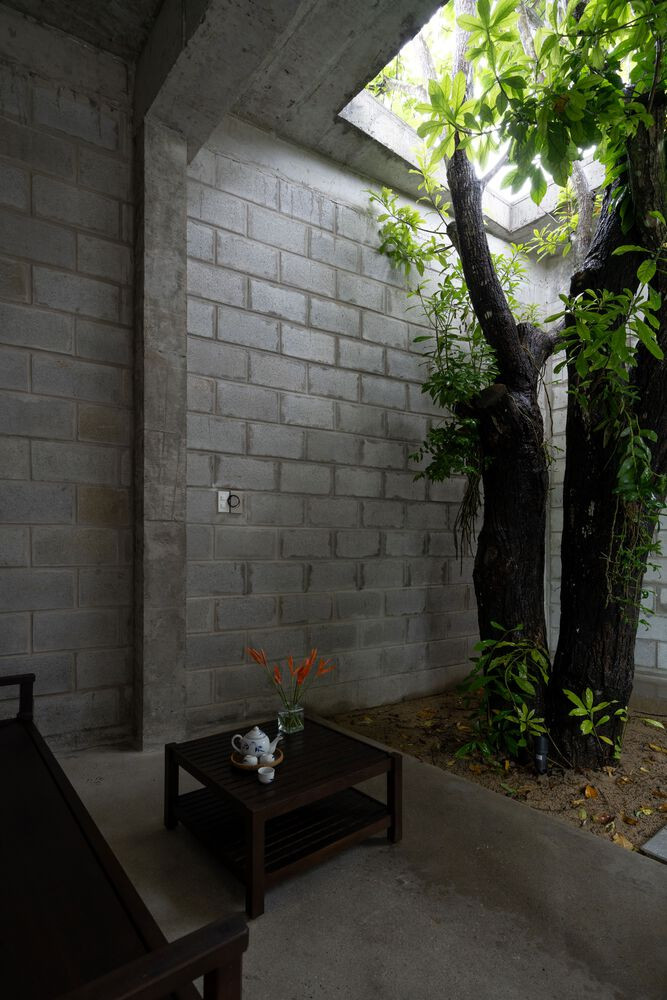 Cành cây vươn ra qua một ô hình chữ nhật trên mái nhà, đưa không gian ngoài trời vào bên trong, tăng cường cảm giác rộng mở và cho phép ánh sáng, gió trời đi mọi ngóc ngách. Ảnh: Quang Trần