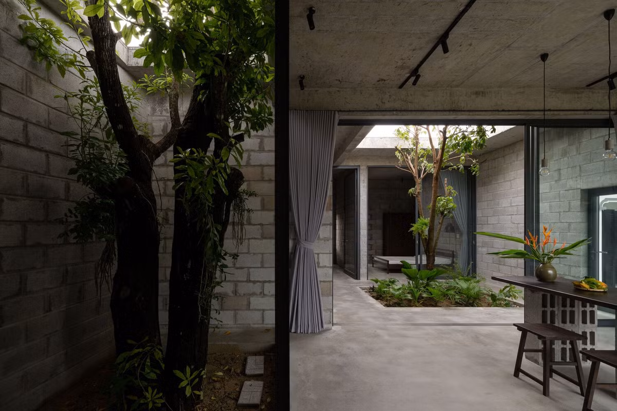 Bằng cách bố trí phòng khách bao quanh cây lộc vừng, kiến trúc sư đảm bảo rằng cây vẫn là yếu tố chủ đạo của ngôi nhà. Ảnh: Quang Trần